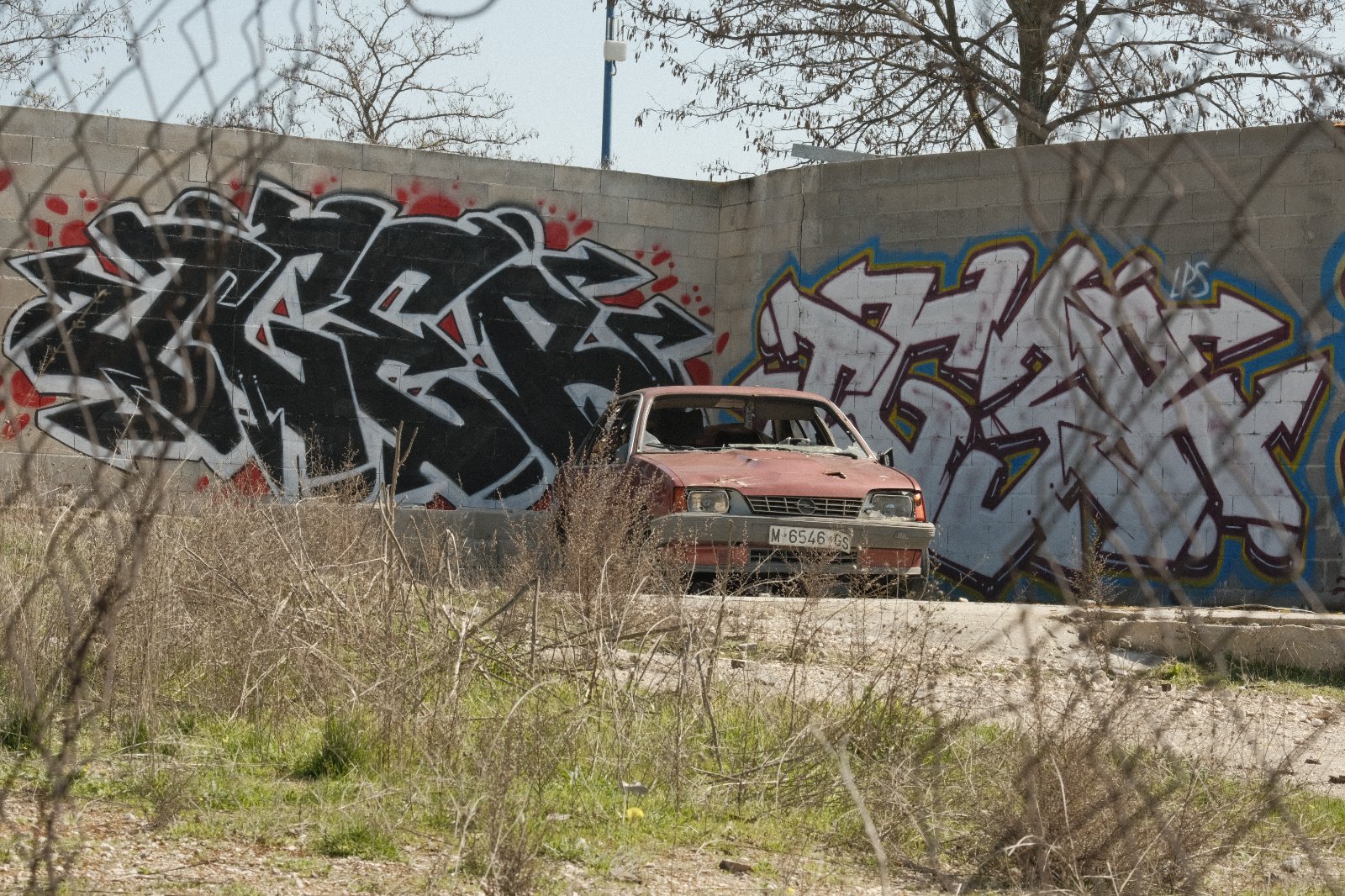 _DSF7185.JPG