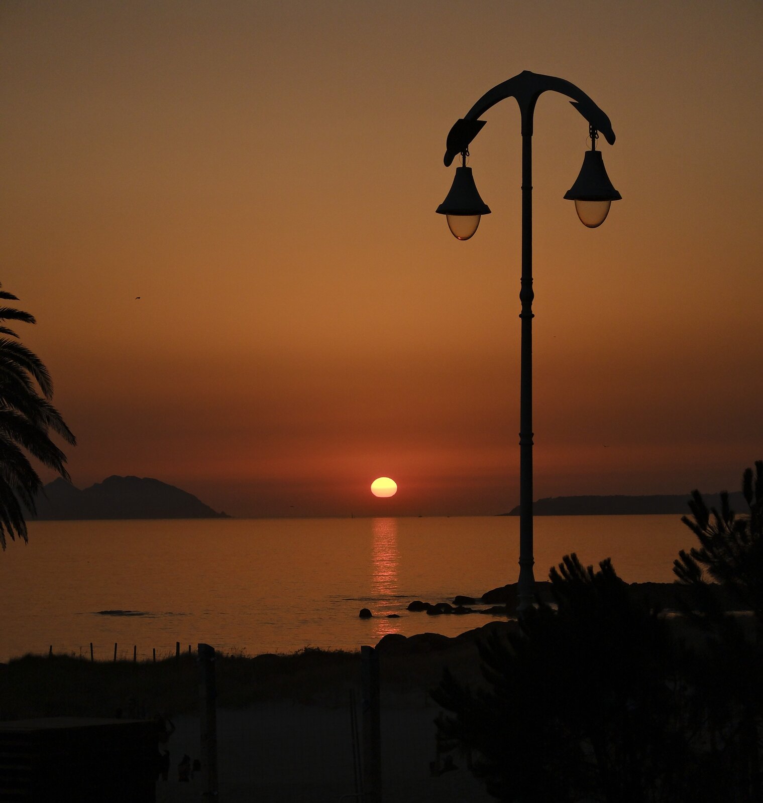 _DSF7713.JPG