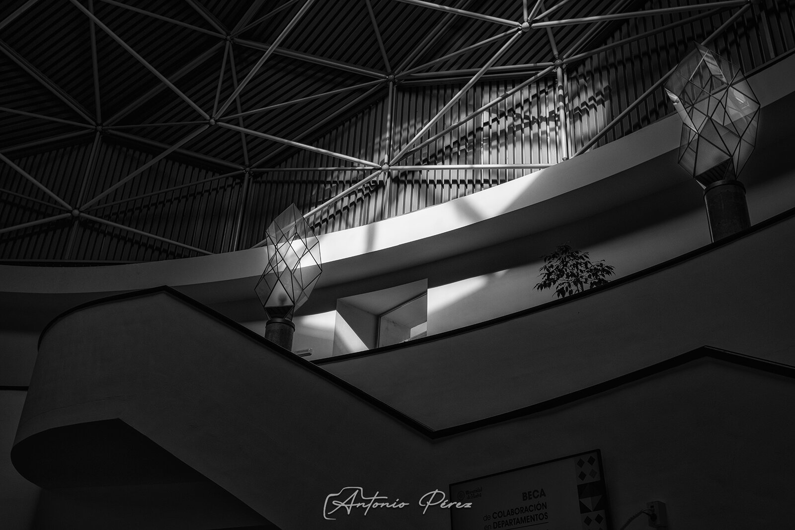 _DSF8349.jpg