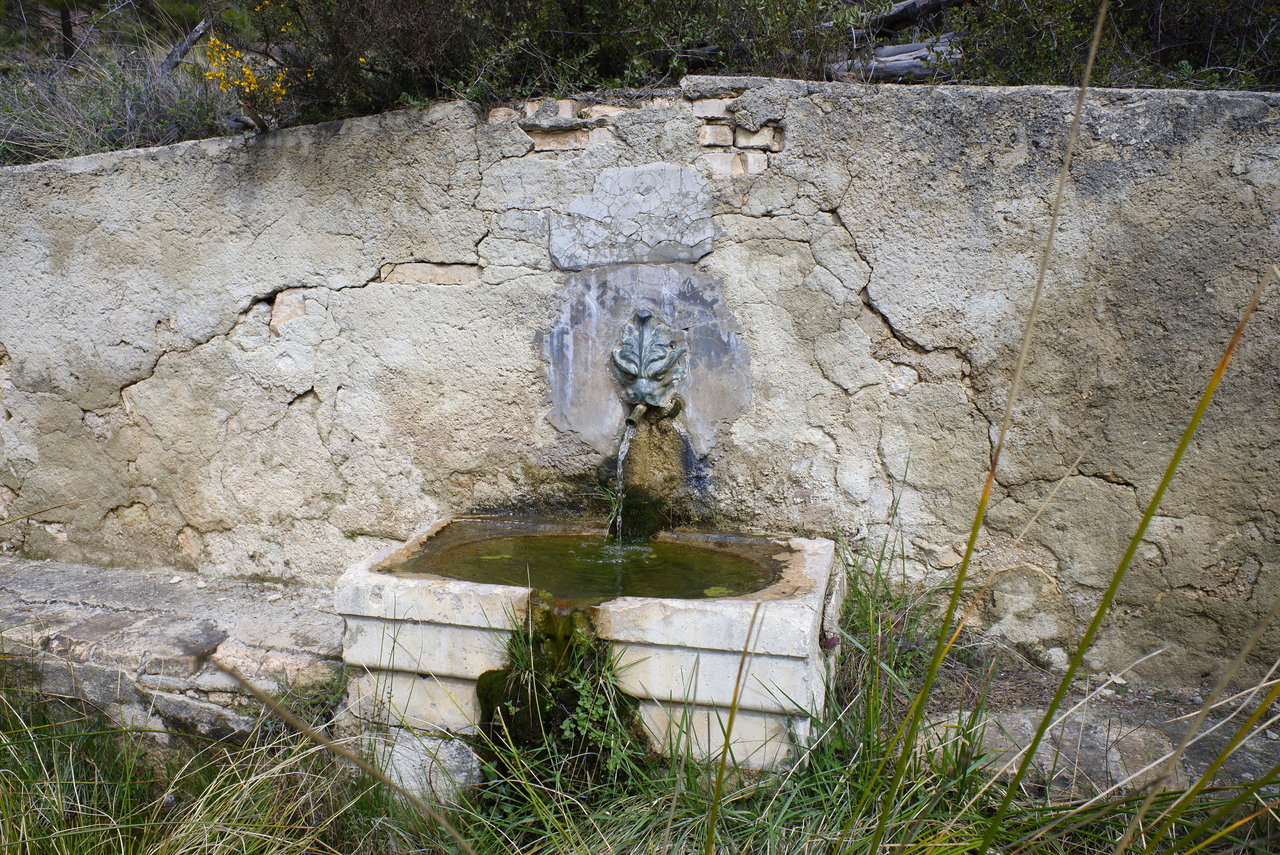 _DSF8889.JPG