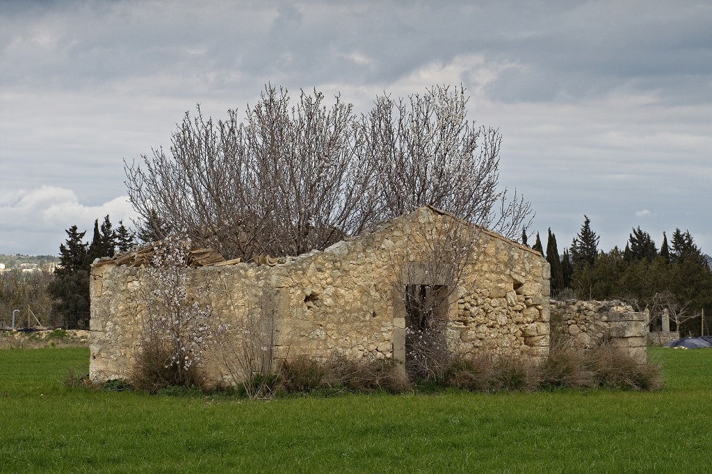 _DSF9122 1.jpg