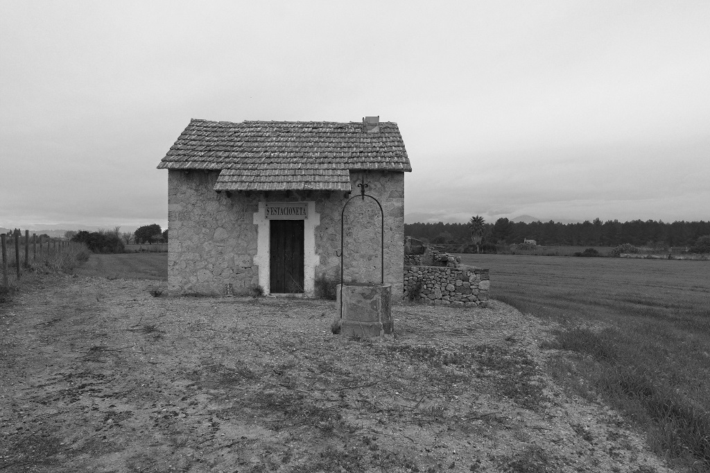 _DSF9256.jpg