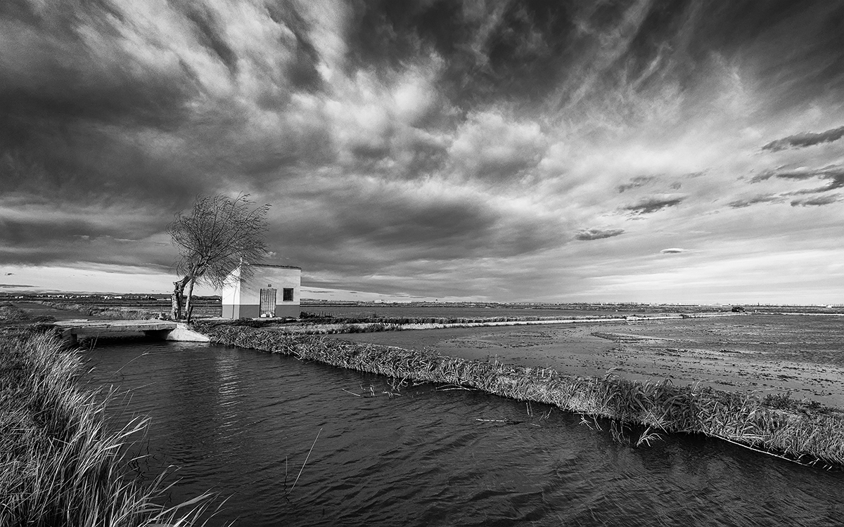 _FXT1599-EditarByN.jpg