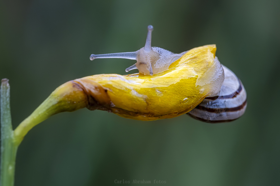 _KKY3319-Mejorado-NR-1.jpg