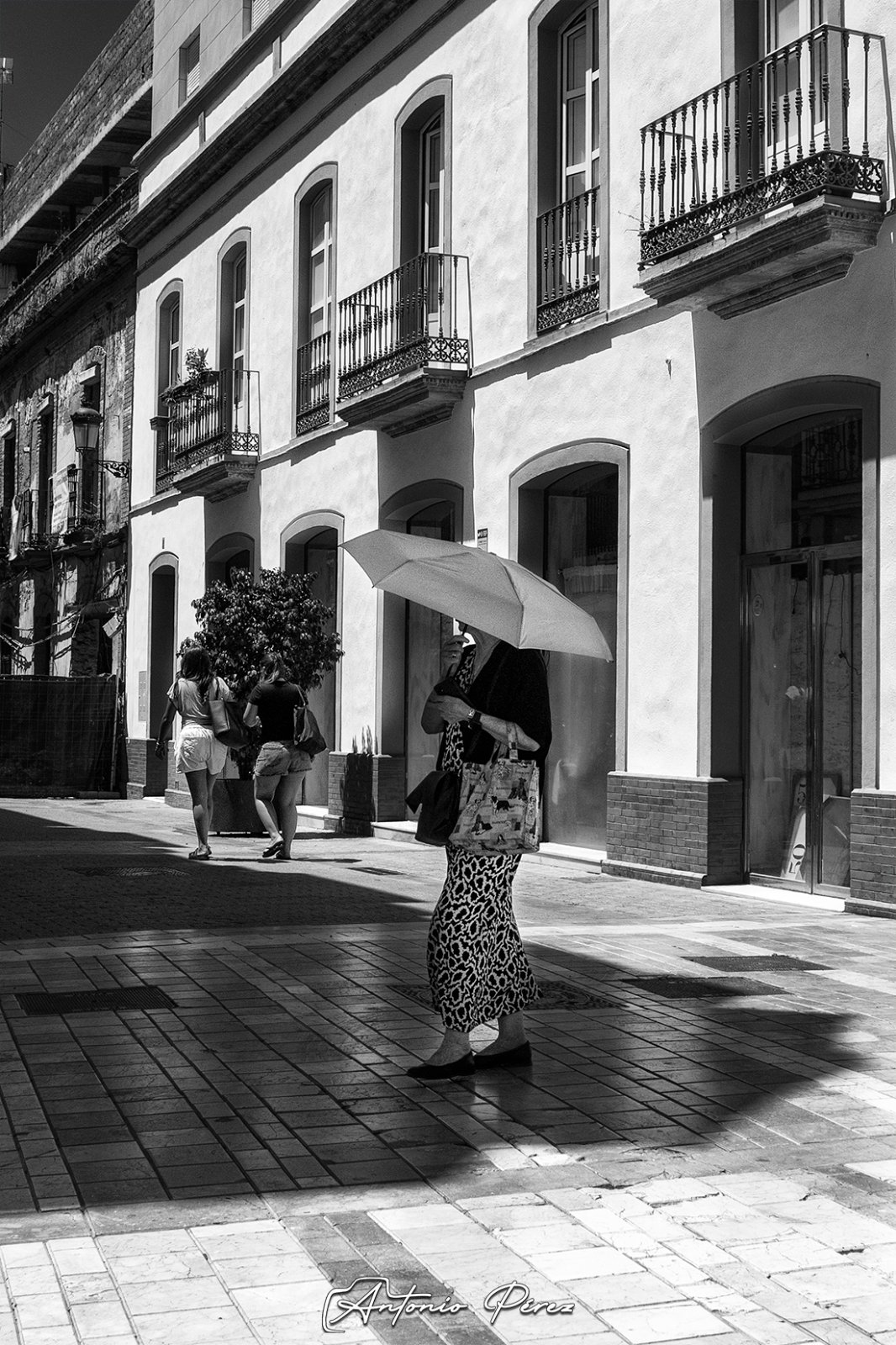 _MG_7642_025012.jpg