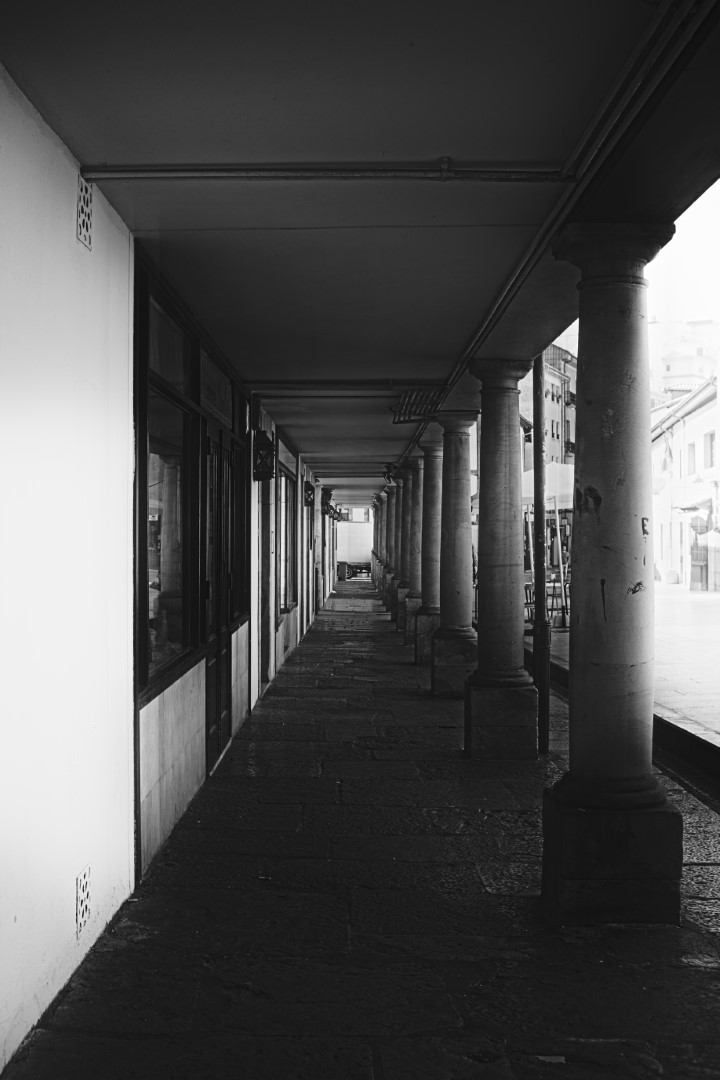 _X303551.jpg