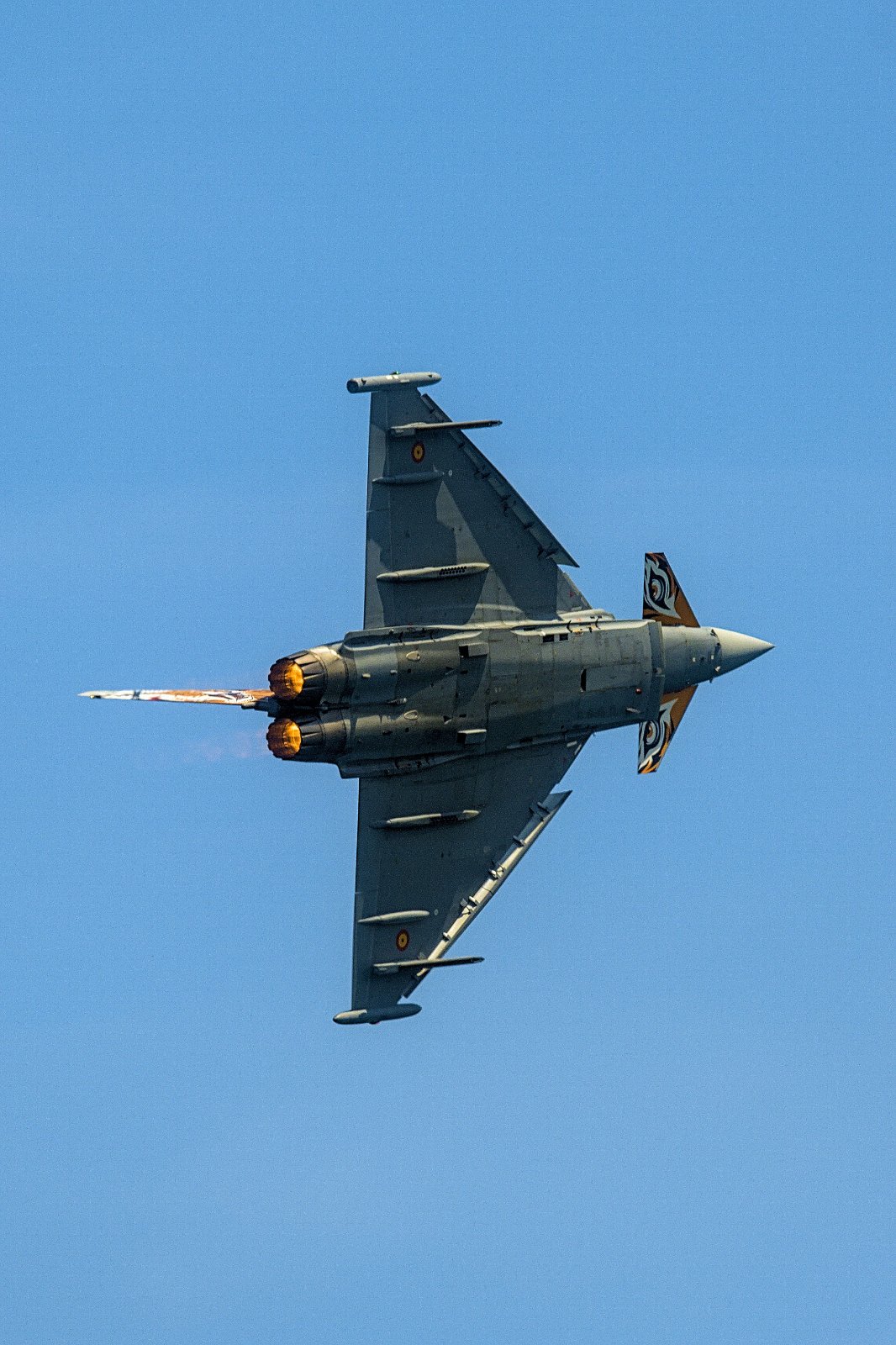 _X304738[PS][2048px].jpg