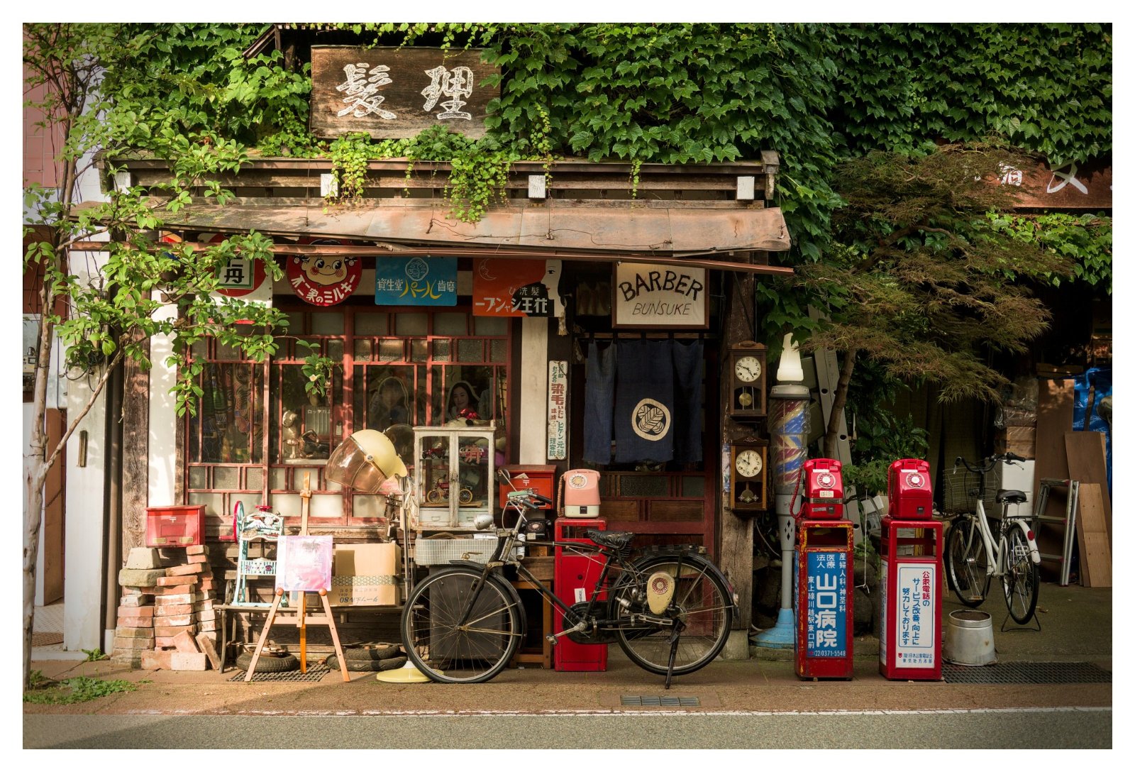 _X307026[DT].jpg