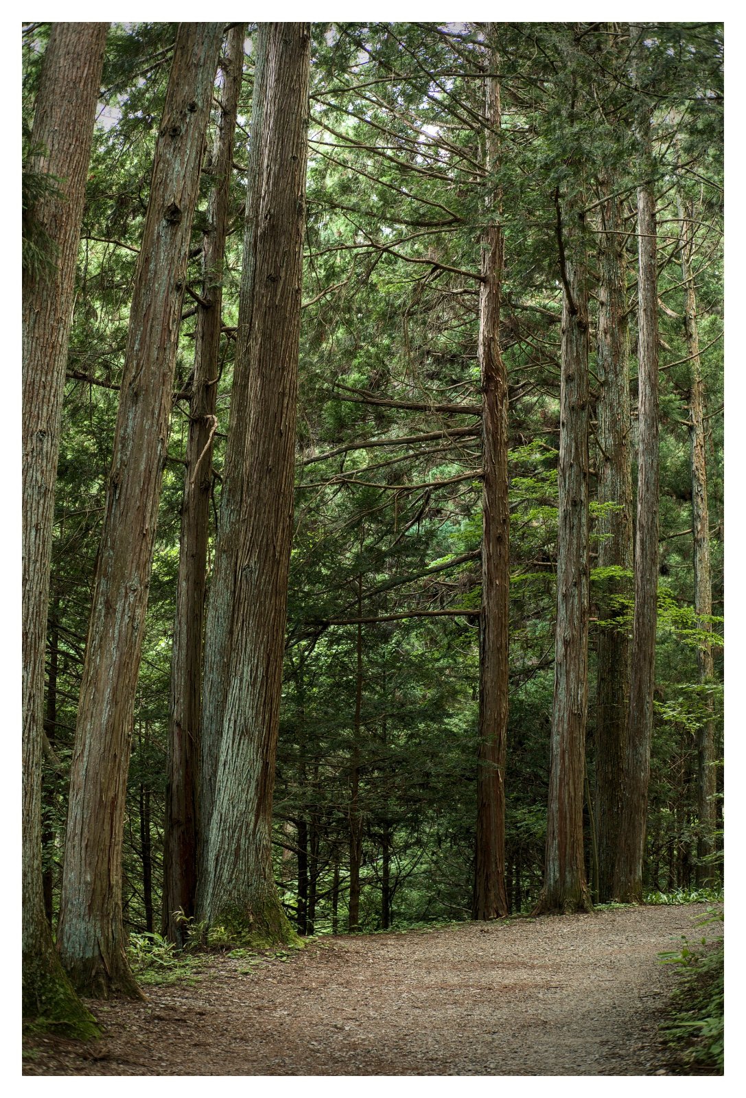 _X307028[DT].jpg