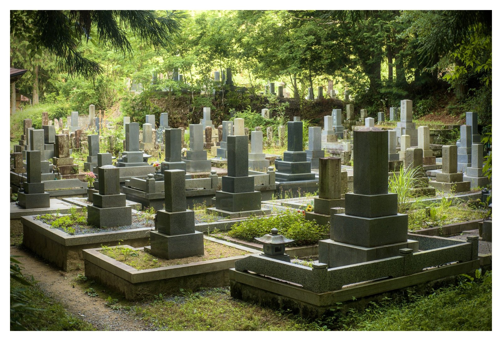 _X307030[DT].jpg