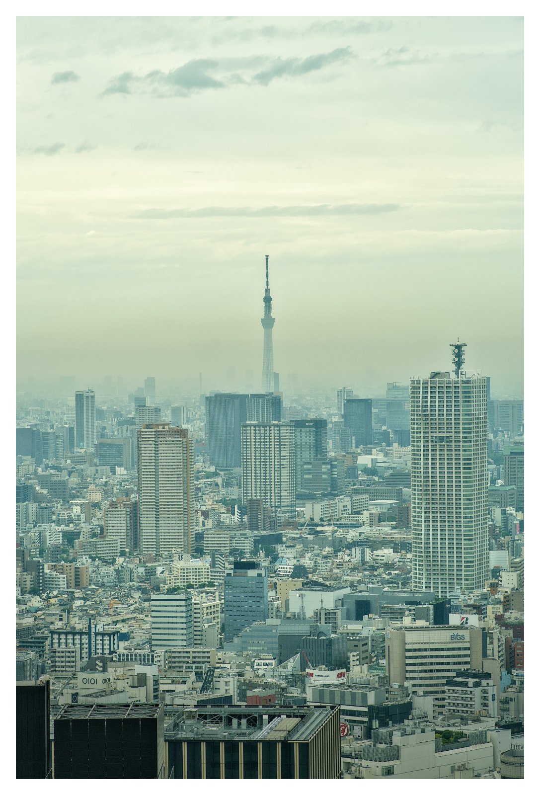 _X307354[DT].jpg