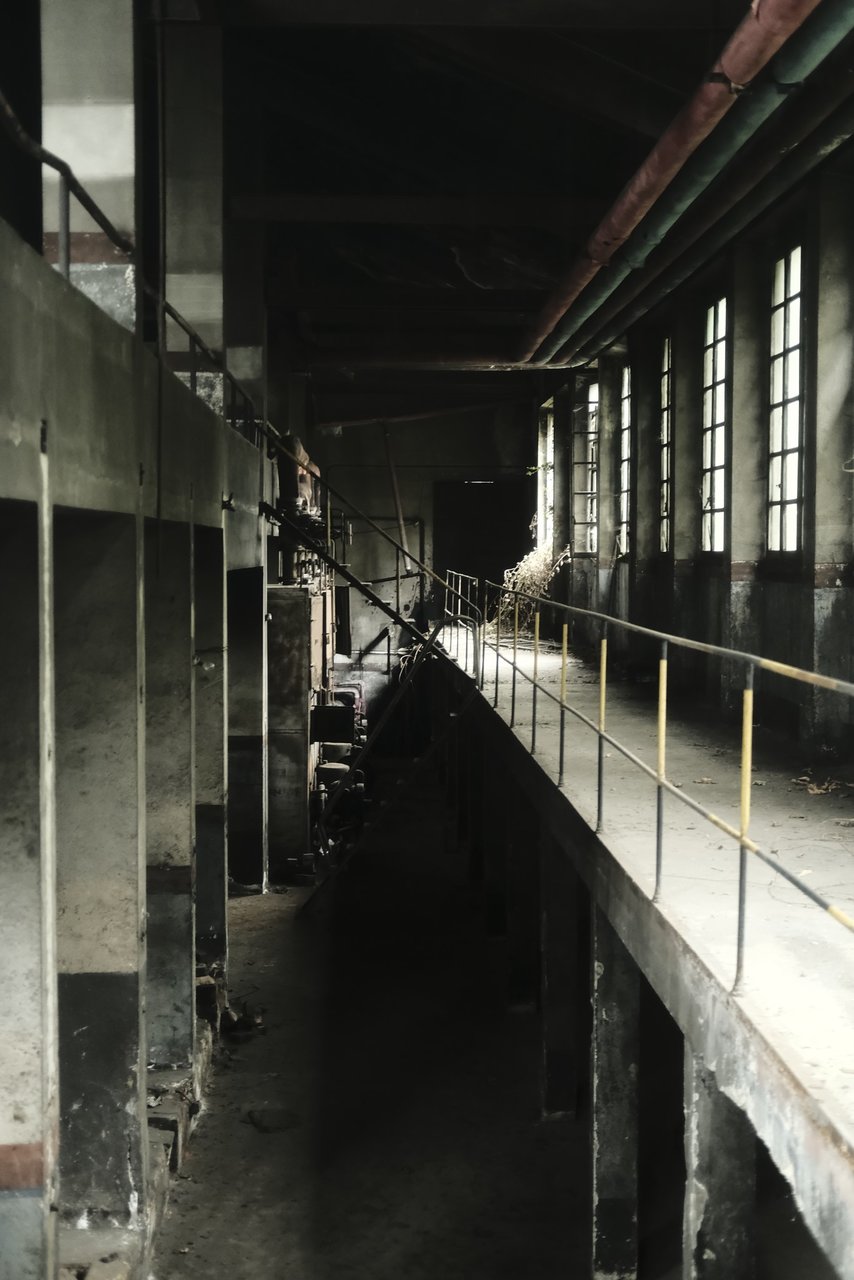 _X308065[2048px].JPG