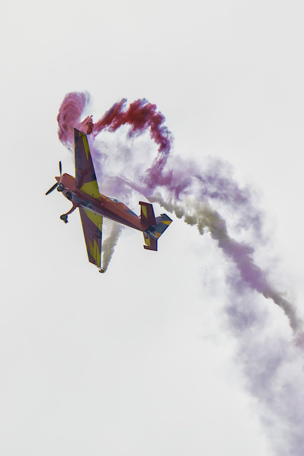 _X308791[DT].jpg