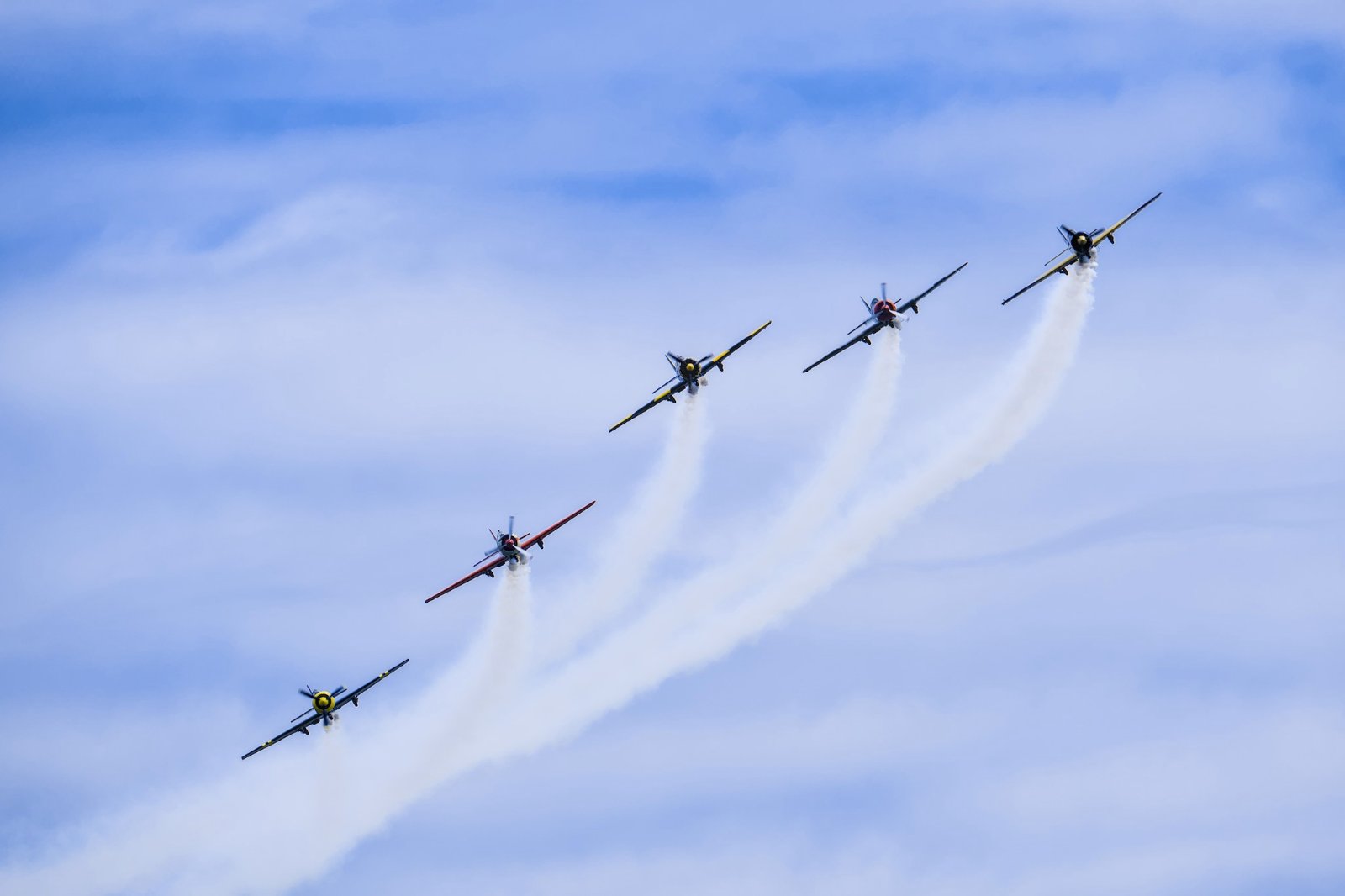 _X308953[DT].jpg