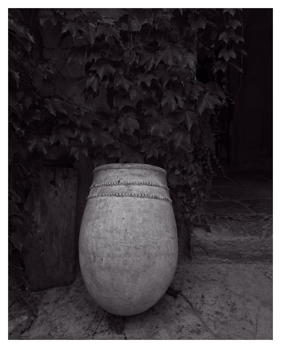 _XE21562.jpg c.jpg