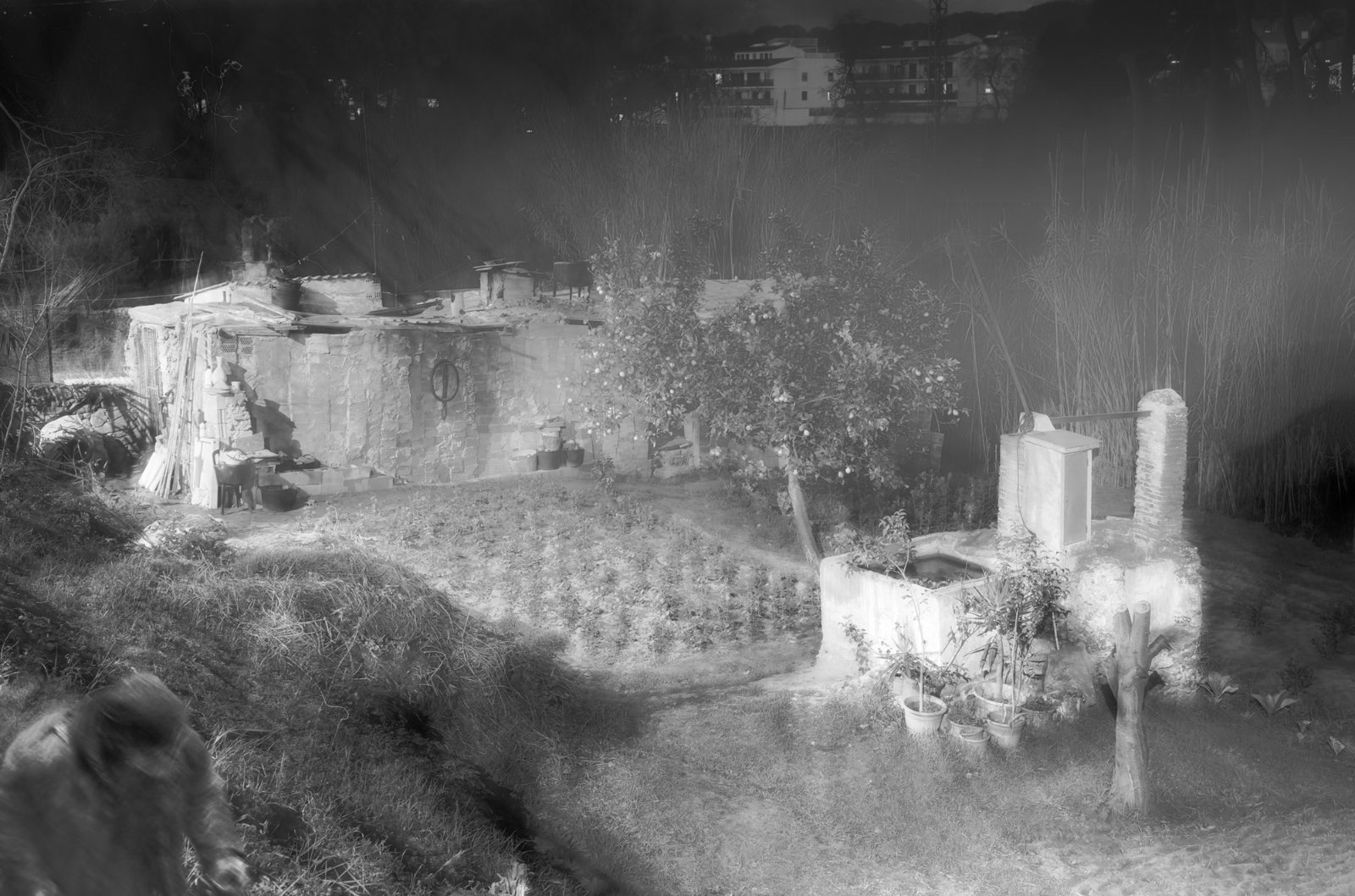 _XT58955DXO_All_doble exp_final.jpg