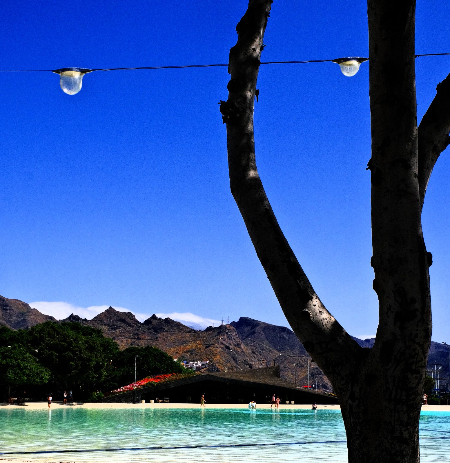 A pleno sol.JPG