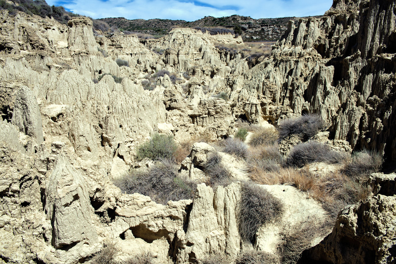 Aguarales de Valpalmas (2).jpg