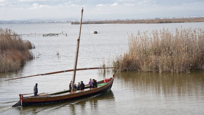 Albufera.jpg