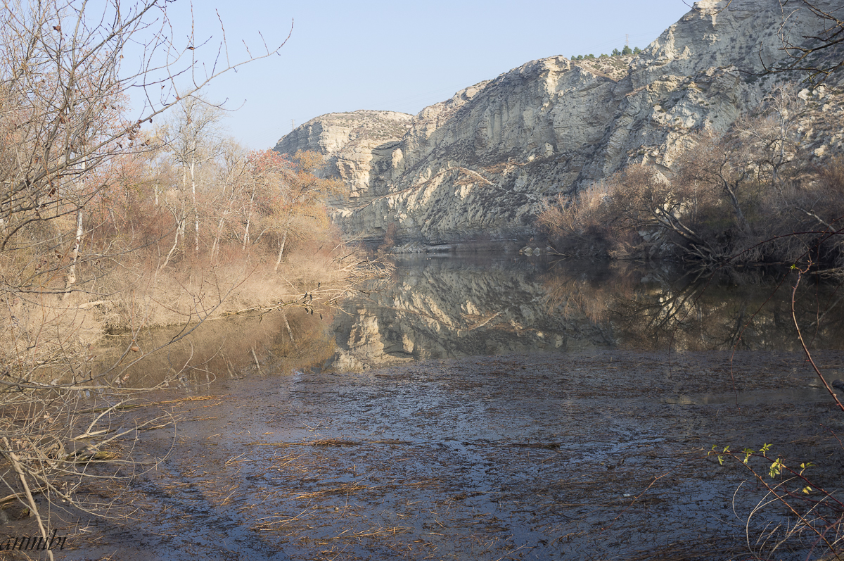 anmibi2019-1-10.jpg