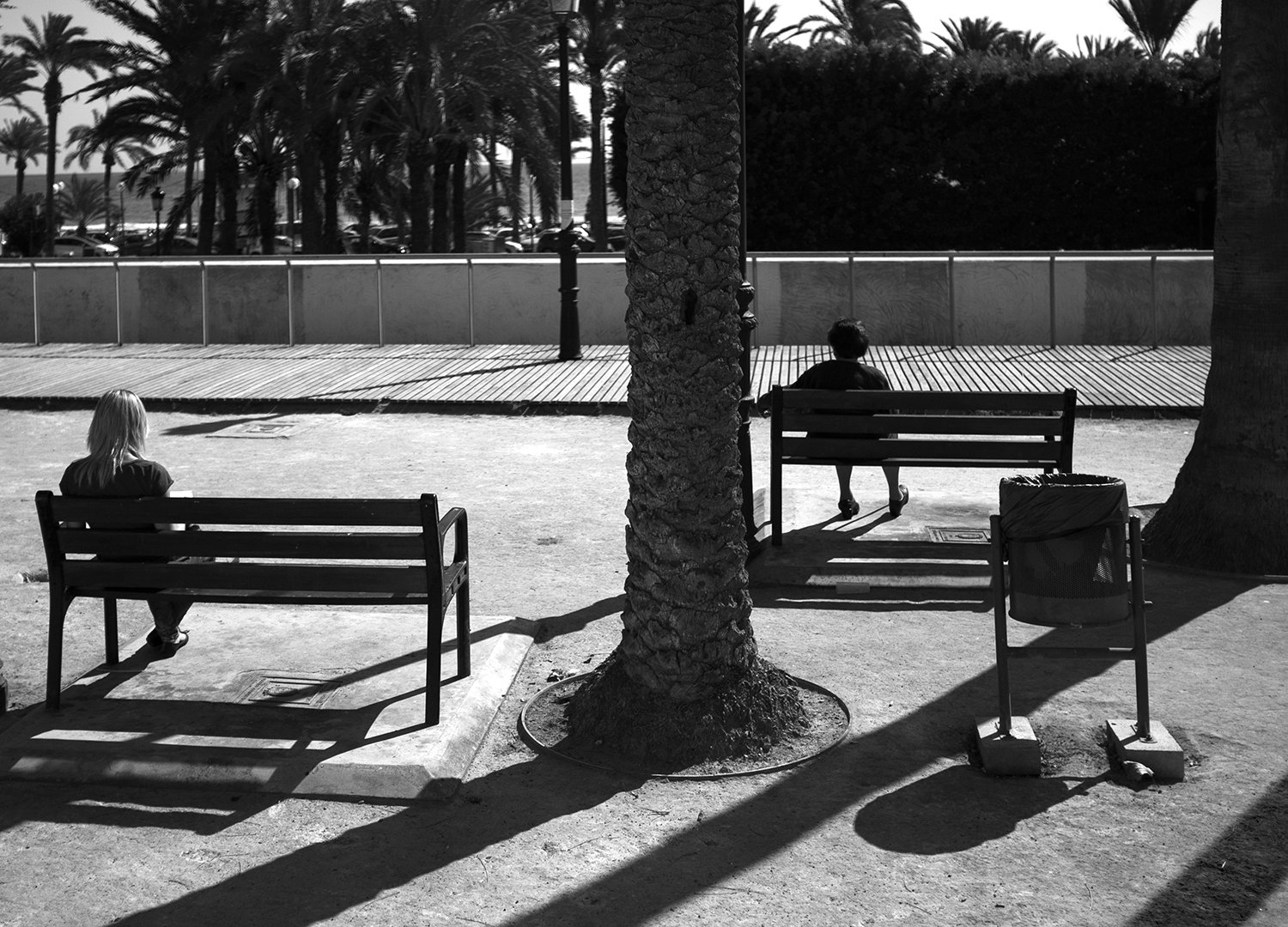 Bancos y sombras.jpg