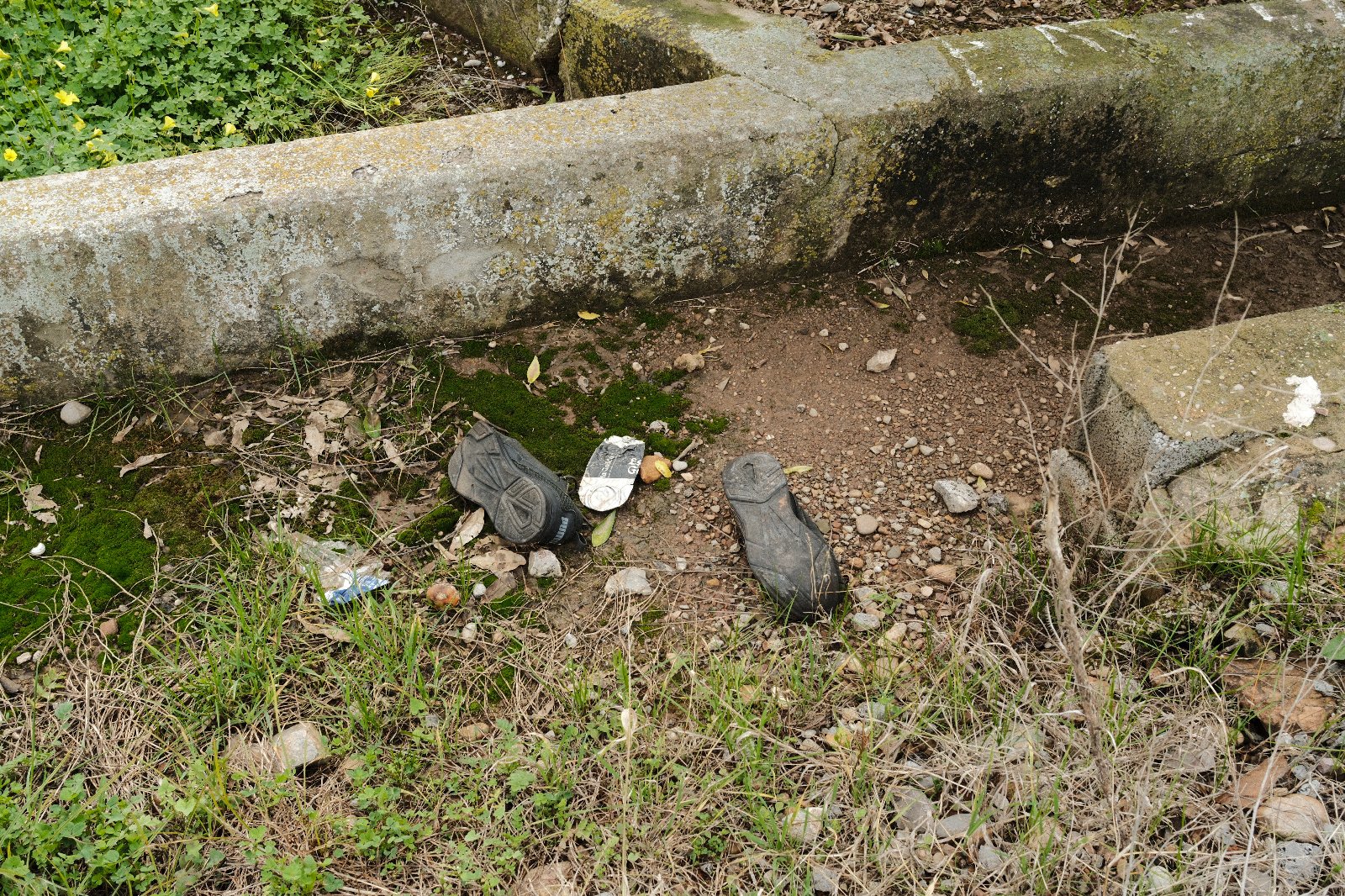 Basura horta 6.jpg