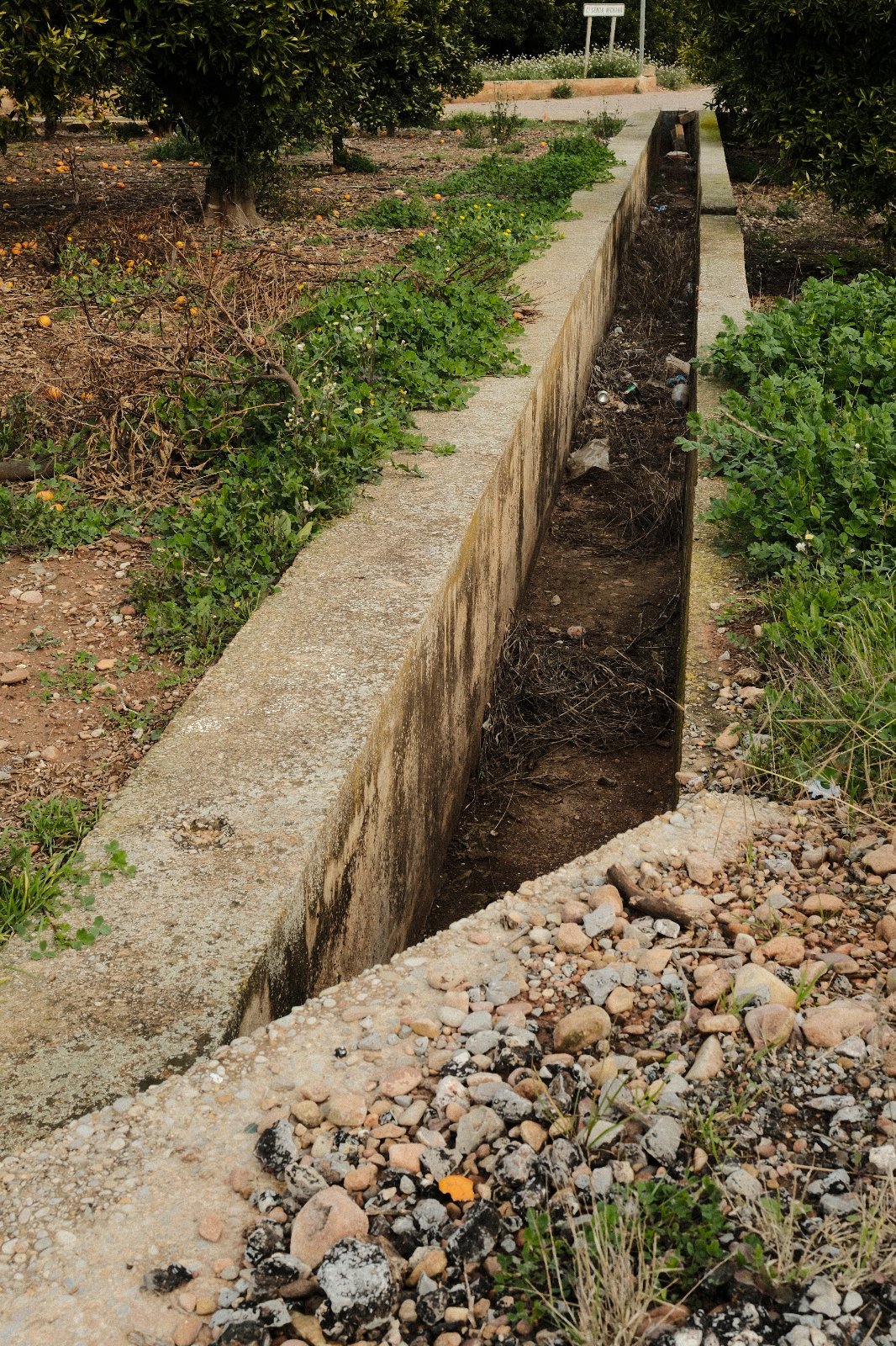 Basura horta 8.jpg