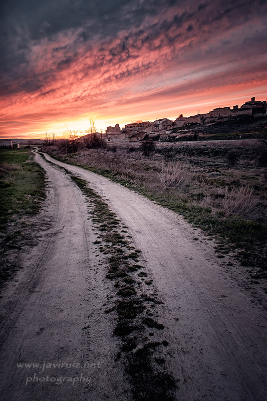 camino a Soria.jpg