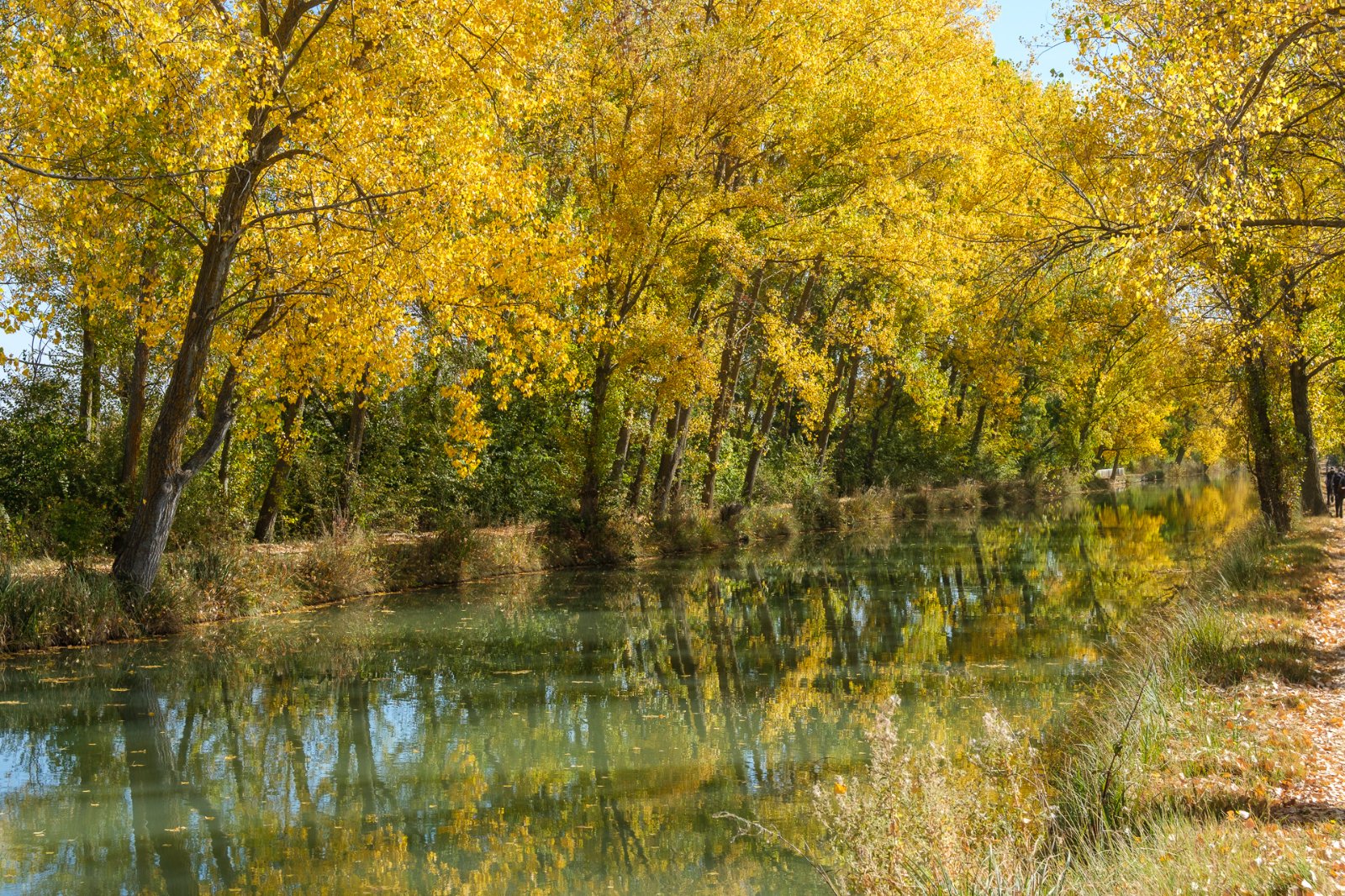 Canal de Castilla 08.jpg