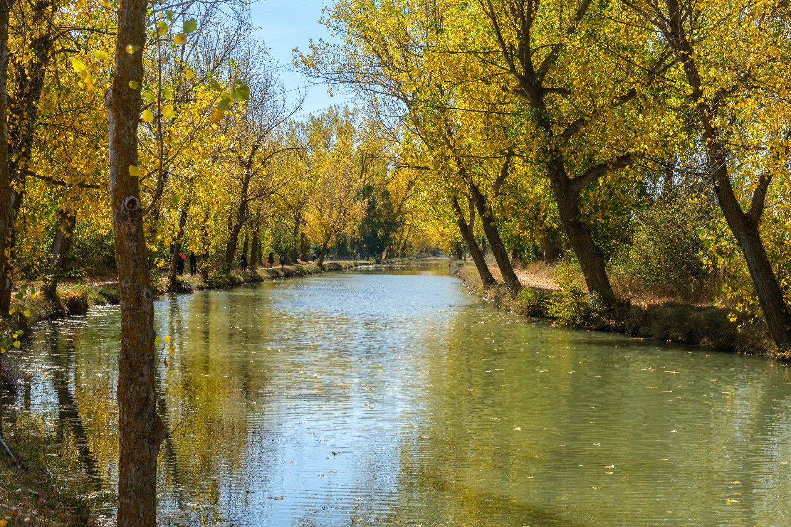 Canal de Castilla 33.jpg