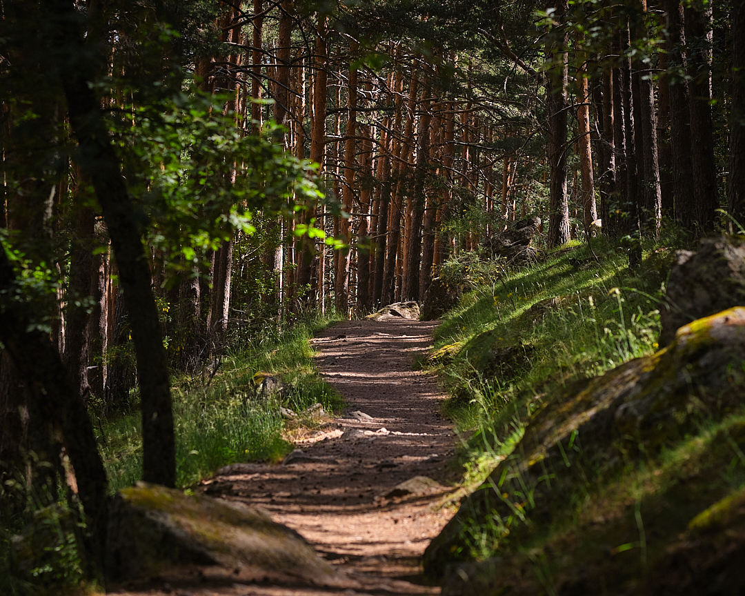 Canencia_X-T3__DSF7308.jpg