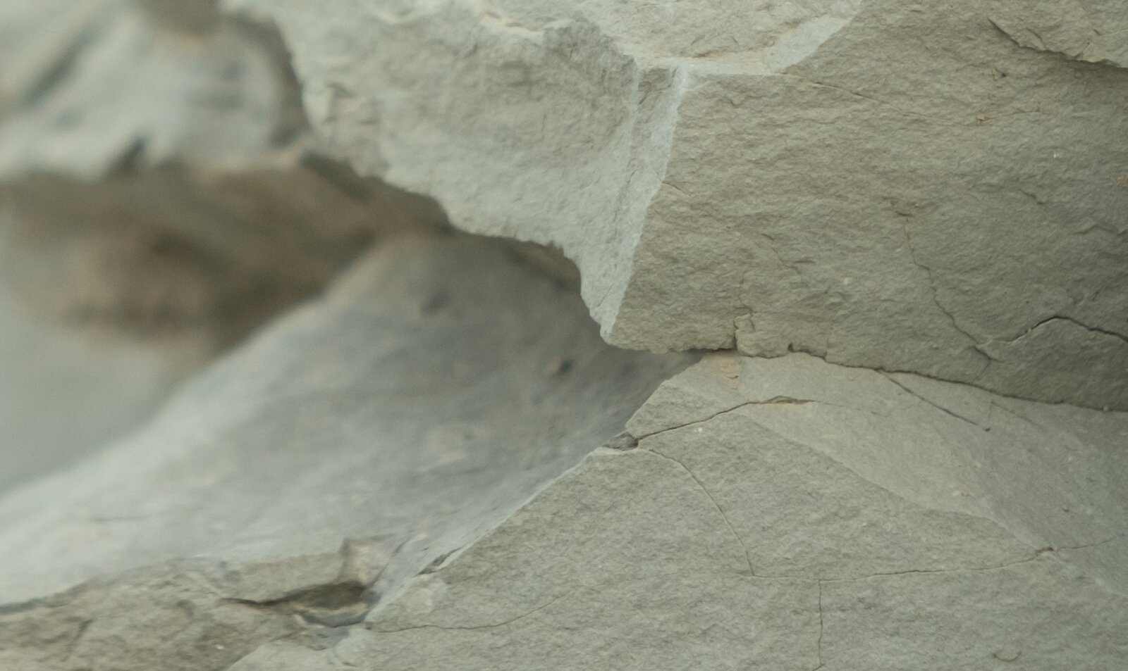 Captura de pantalla 2025-07-23 115546.jpg