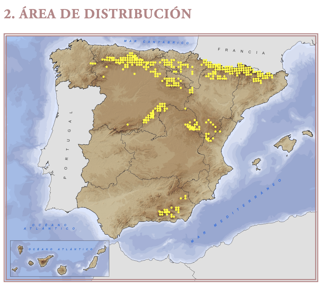 Captura de pantalla 2025-07-26 a les 12.29.02.png