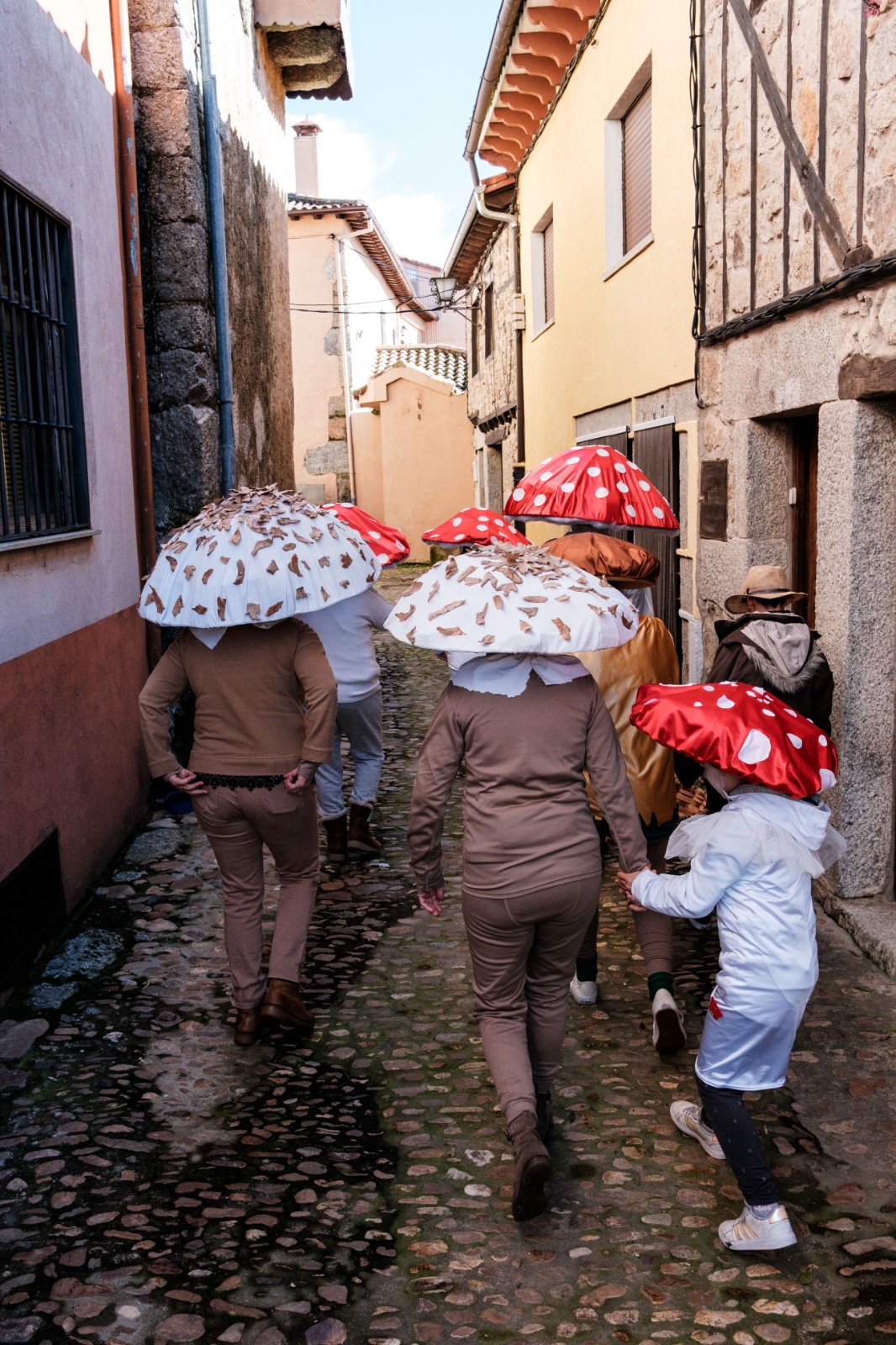 Carnaval140226_030.jpg