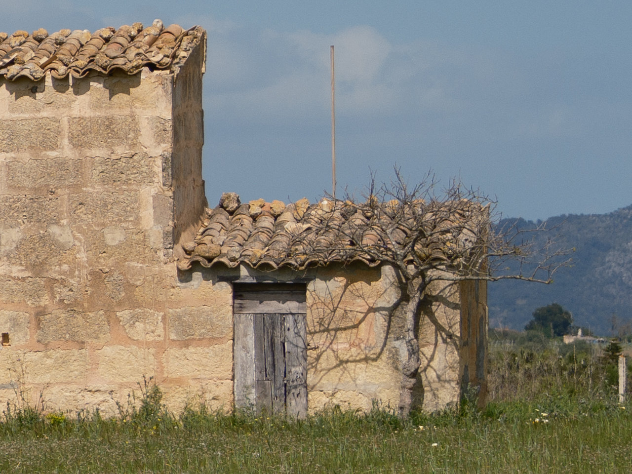 casa.jpg