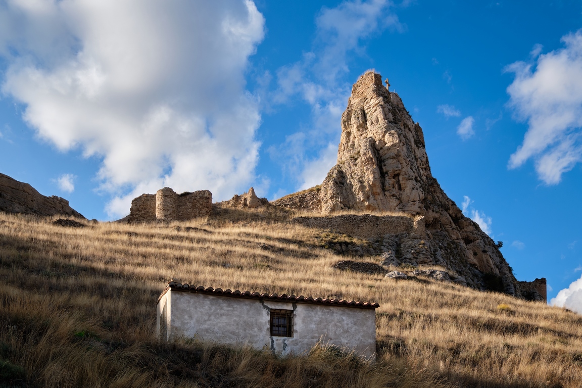 CAX23144 (Copiar).jpg