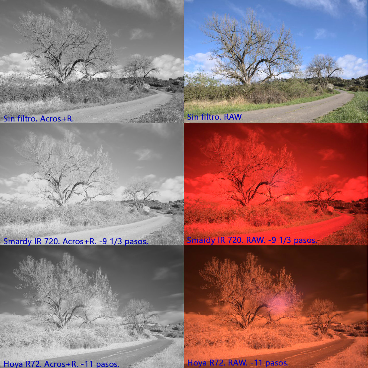 Comparación-IR-arbolón.jpg