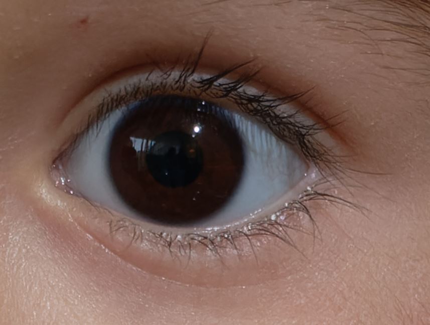 Con Pure Raw.JPG
