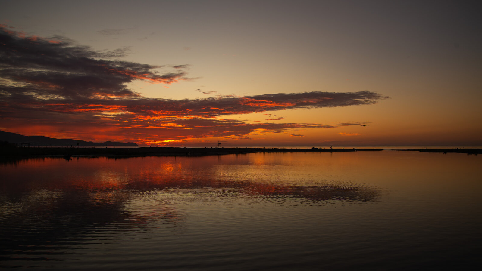 D61_6494.jpg