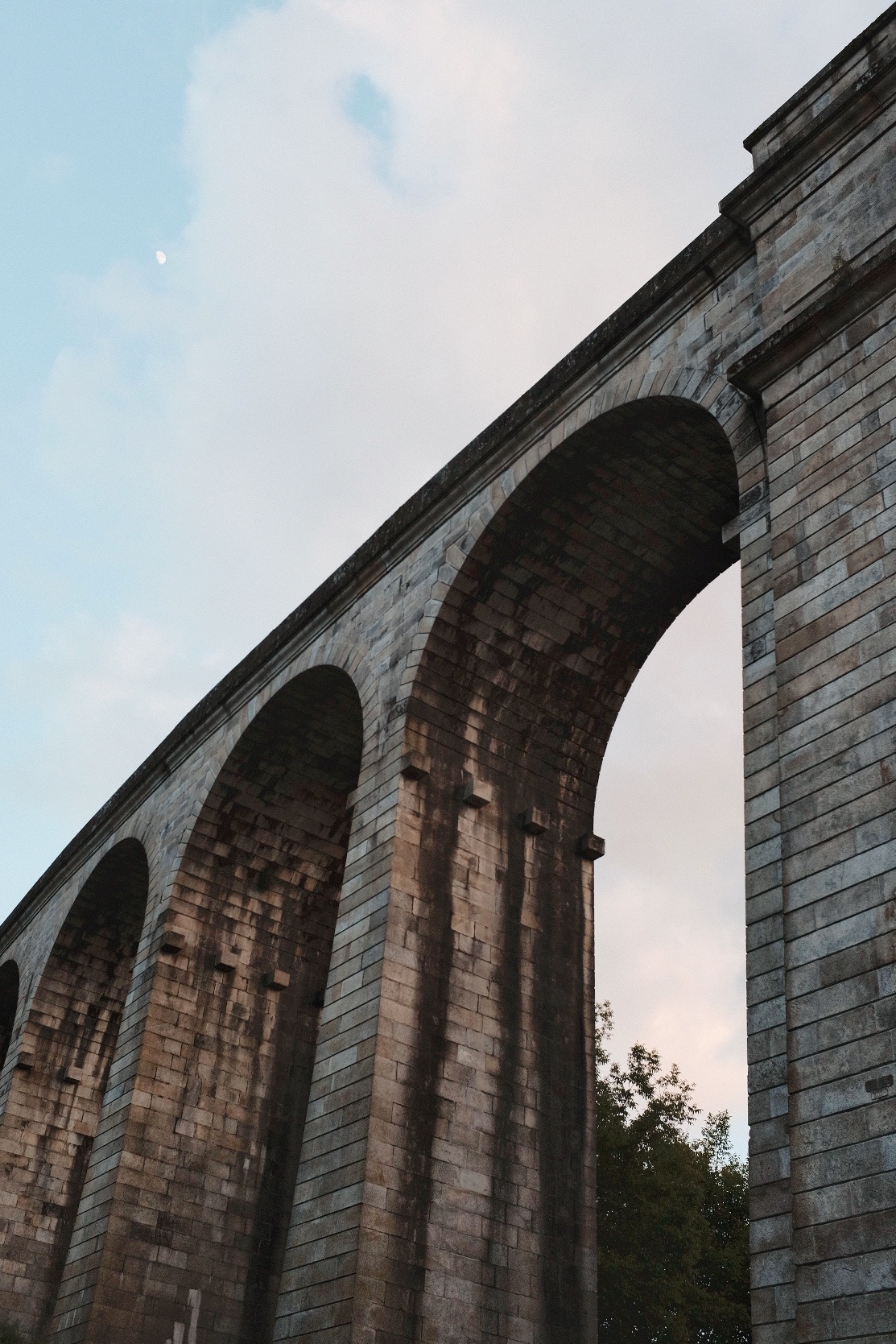 D8A0E820-B750-41E3-9CBE-07B1CA29FF95-43419-000012347DFCE6F2.jpeg
