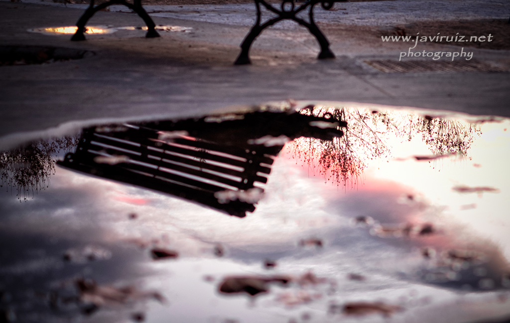 detalle al atardecer.jpg