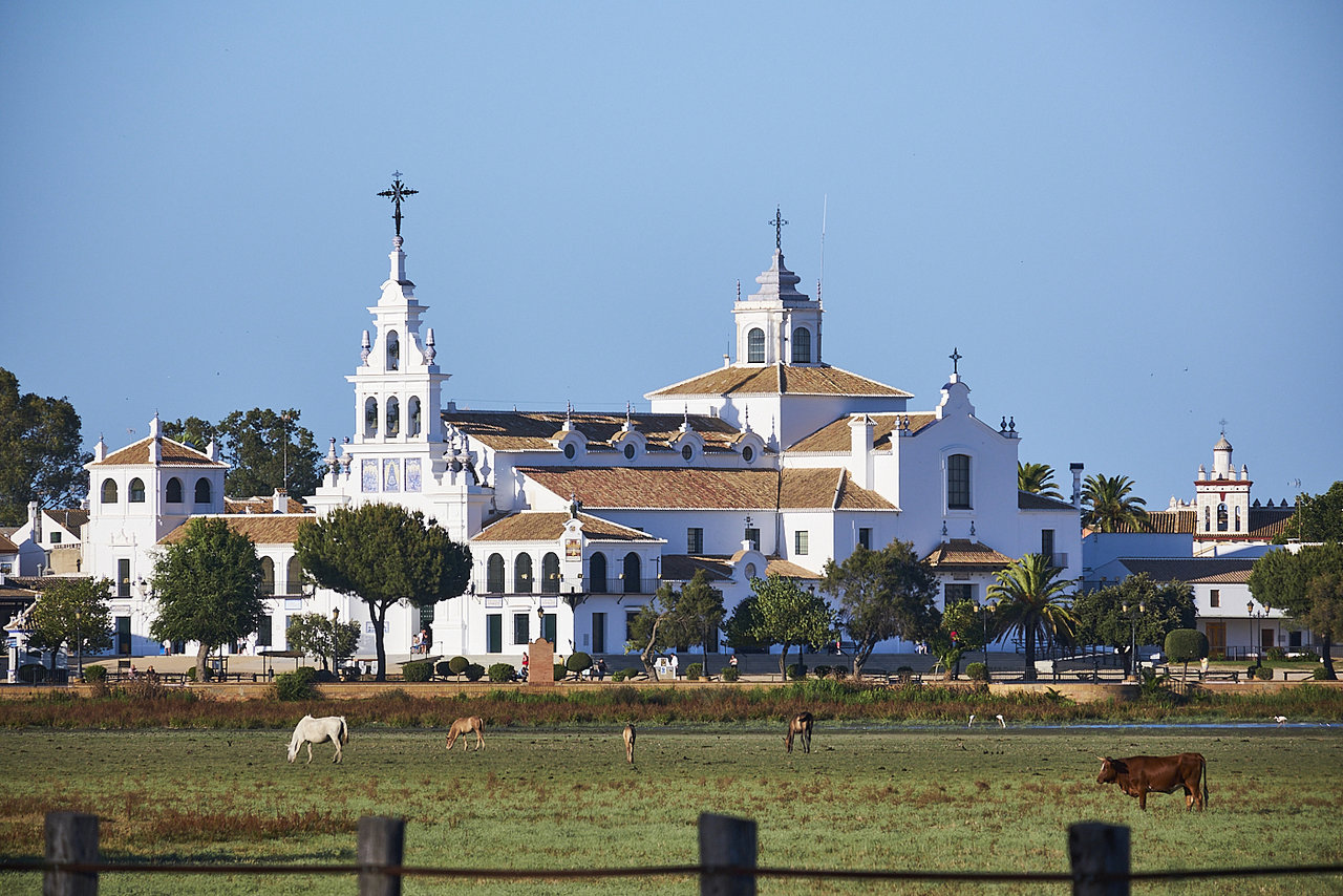 Doñana_1.jpg