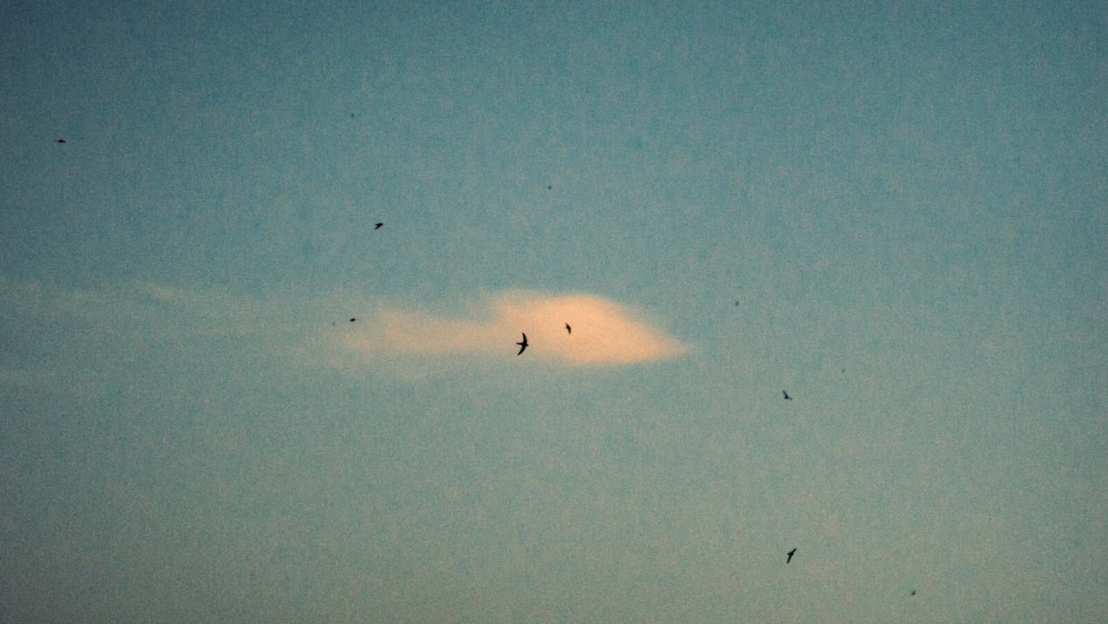 DSC00275.jpg