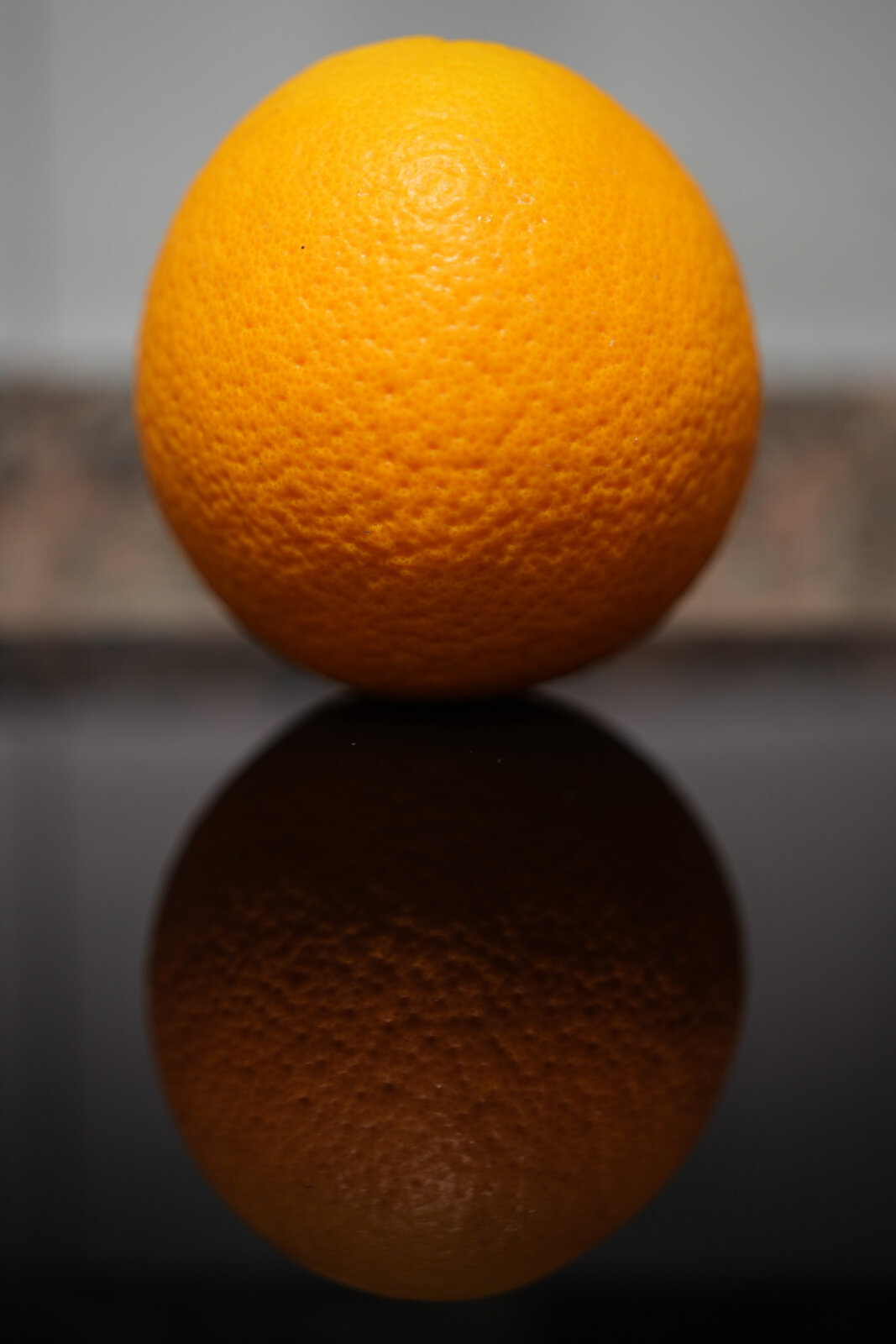 DSC02593.jpeg