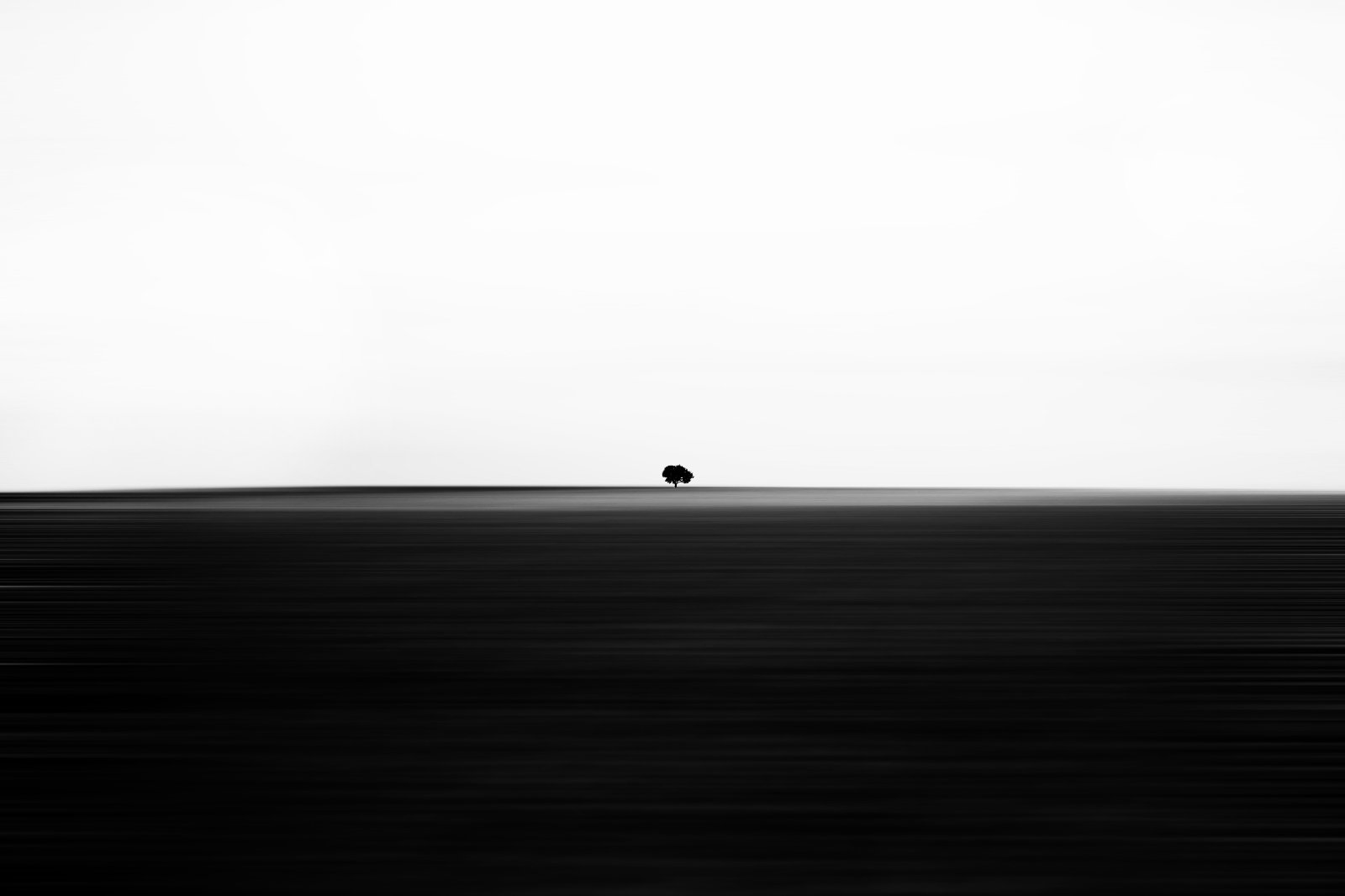 DSC05433ED11 (1).jpg