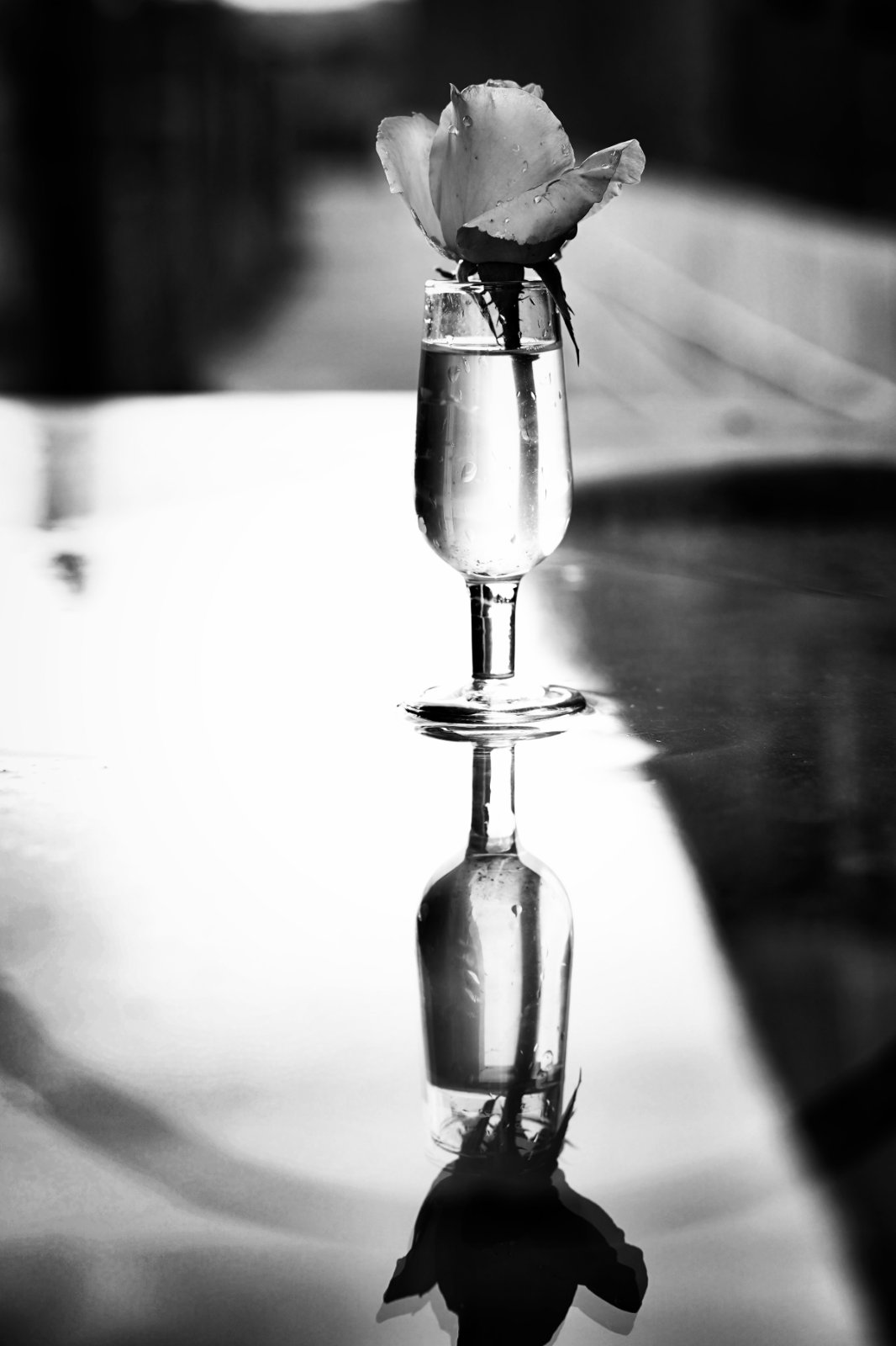 DSC05727P1 (2).jpg