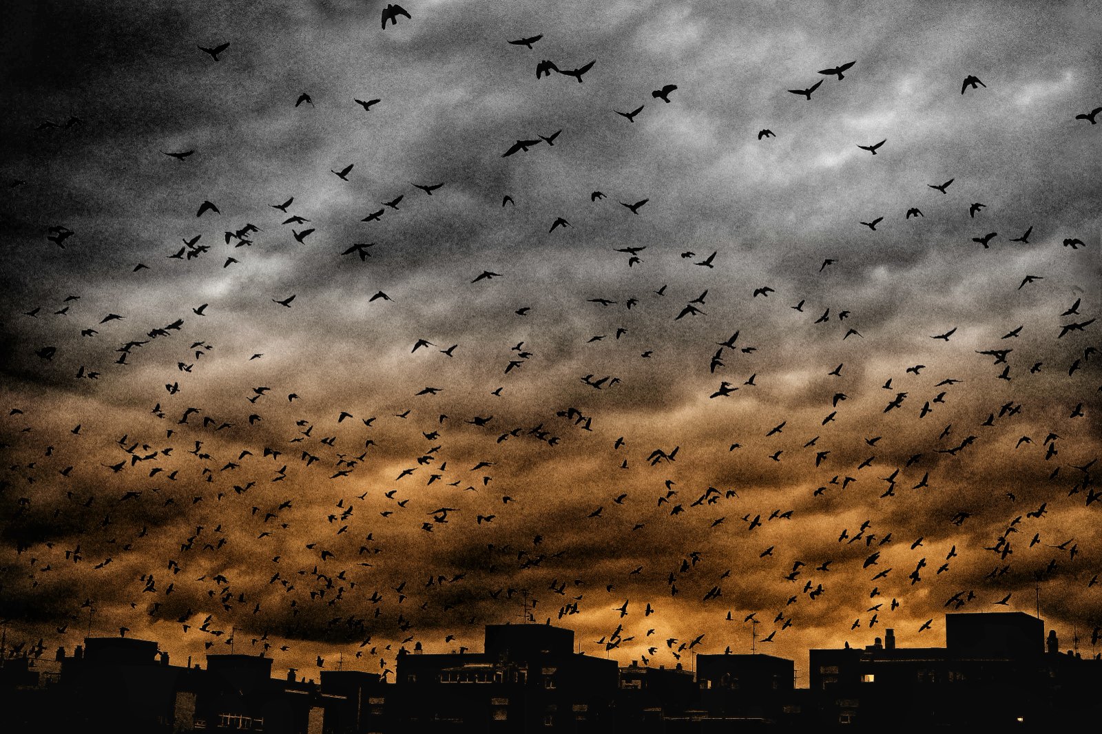 DSC07864ed13_1 (1).jpg