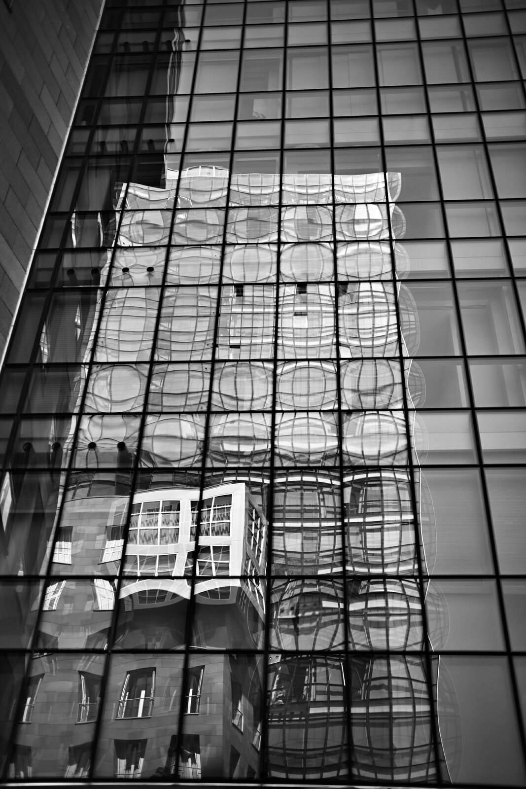 DSC_1943.jpeg