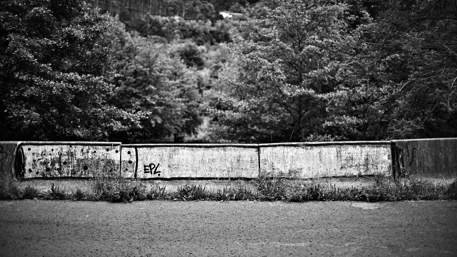 DSC_2285.jpeg