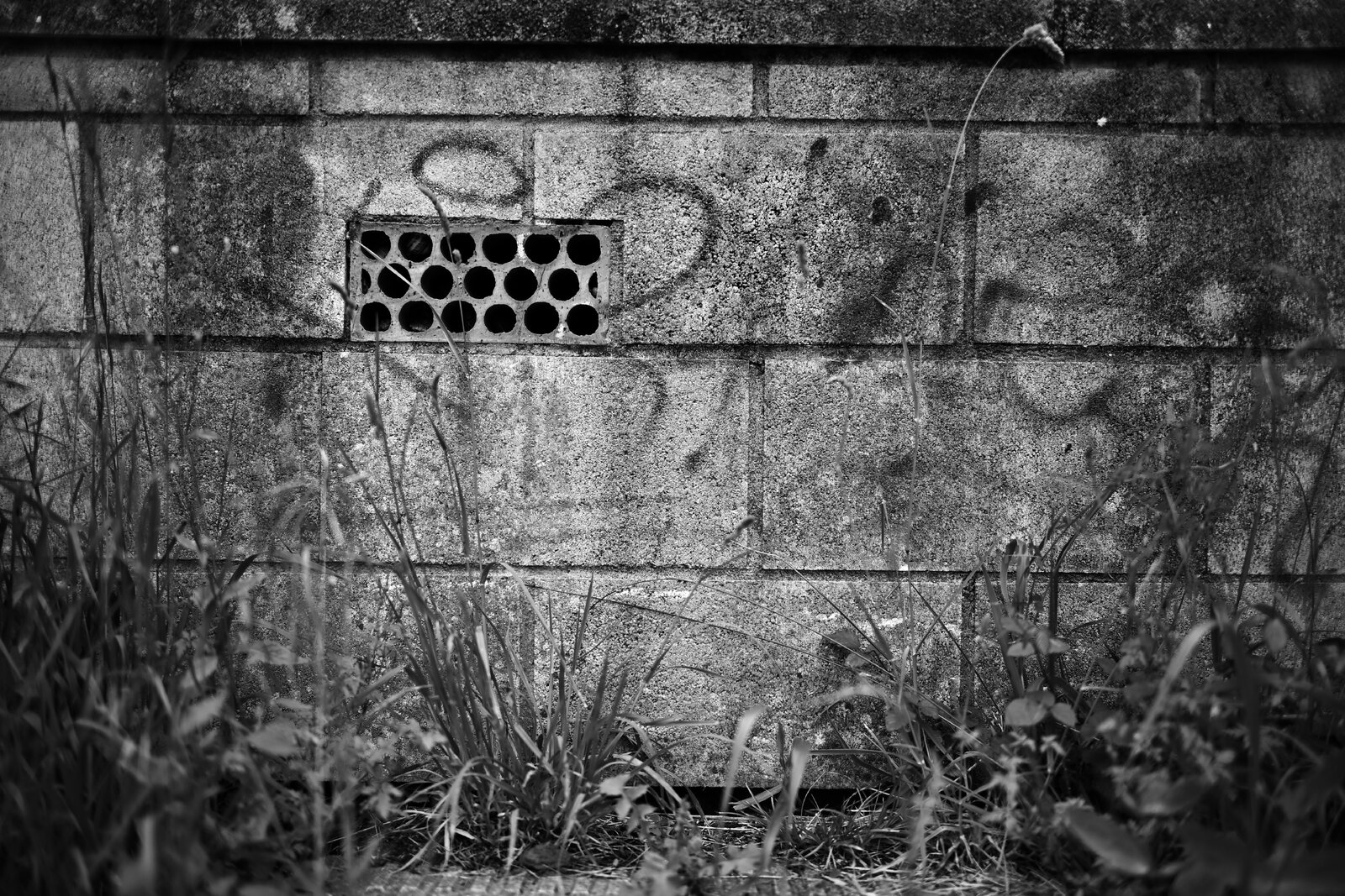 DSC_2301.jpeg